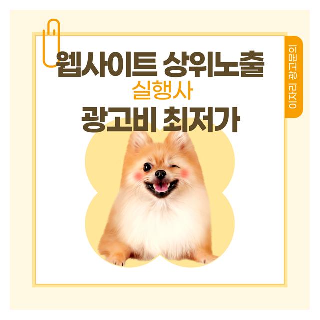 부평강아지분양 상위노출